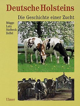 Deutsche Holsteins