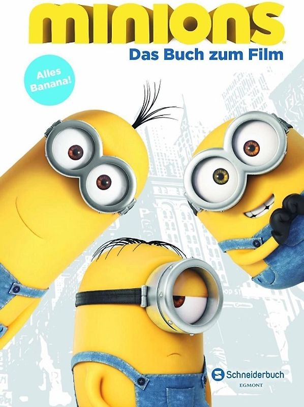 Minions - Das Buch zum Film