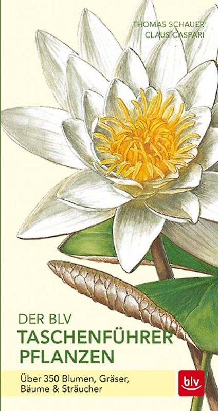 Der BLV Taschenführer Pflanzen