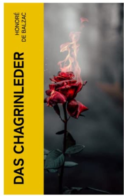 Das Chagrinleder: Die tödlichen Wünsche