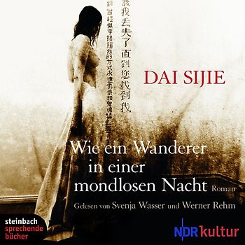 Wie Ein Wanderer In Einer Mondlosen Nacht