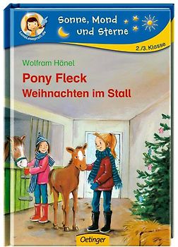 Pony Fleck - Weihnachten im Stall