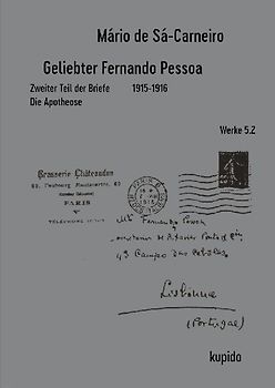 Geliebter Fernando Pessoa Zweiter Teil der Briefe 1915-1916