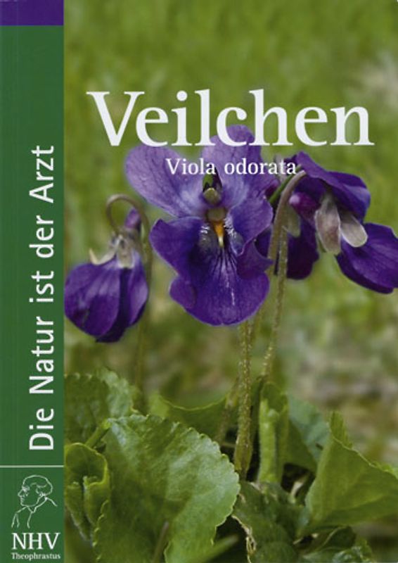 Veilchen - Viola odorata