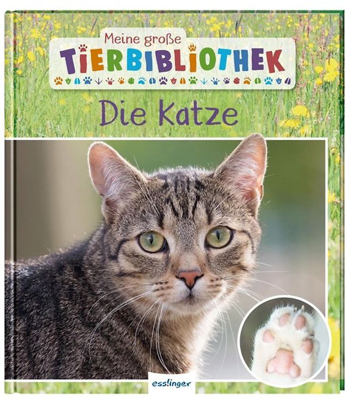 Meine große Tierbibliothek: Die Katze