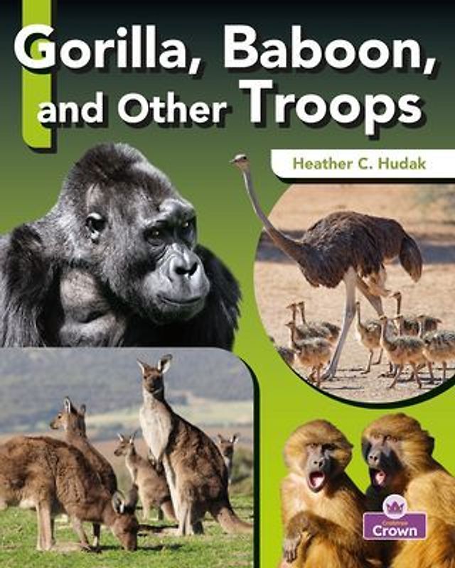 Gorilla, Baboon, and Other Troops