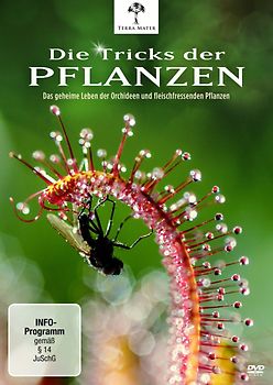Die Tricks der Pflanzen DVD