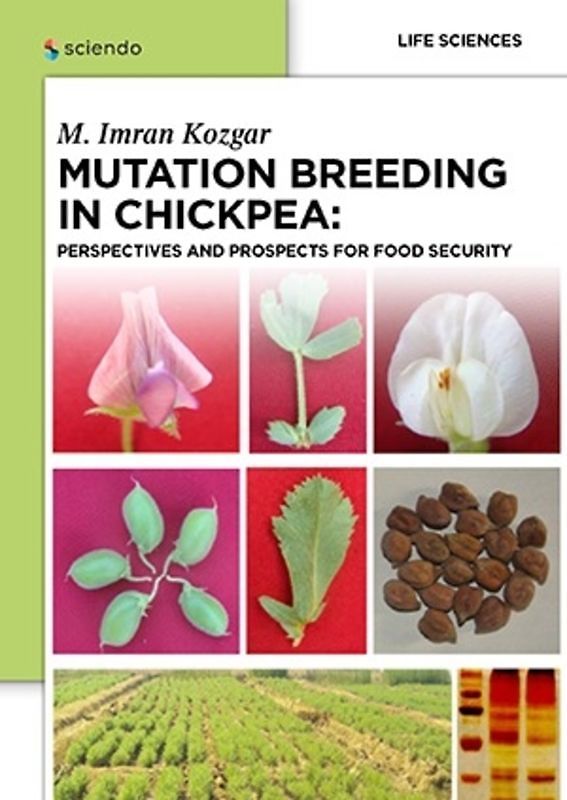 Mutation Breeding in Chickpea: