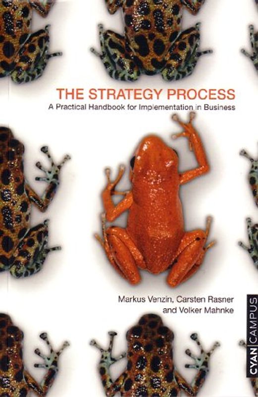 The Strategy Process