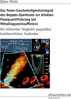 Das Power-Geschwindigkeitsintegral des Doppler-Spektrums zur direkten Flussquantifizierung bei Mitralklappeninsuffizienz