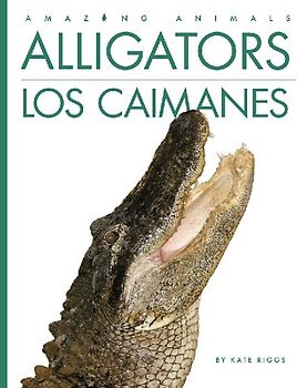 Alligators / Los Caimanes