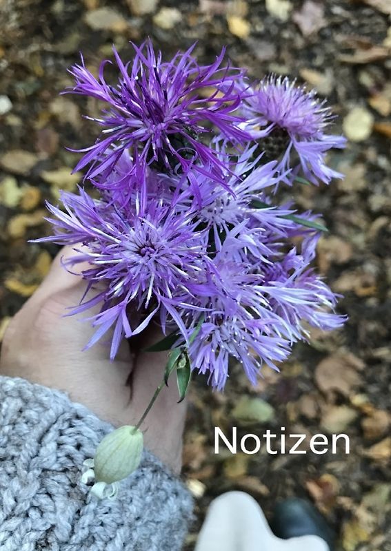 Notizen