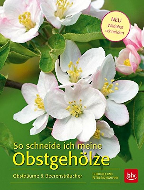 So schneide ich meine Obstgehölze