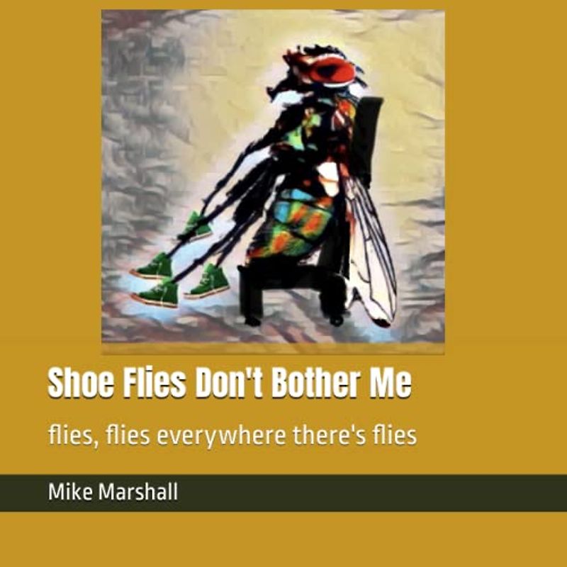 Shoe Flies Don't Bother Me: flies, flies everywhere there's flies