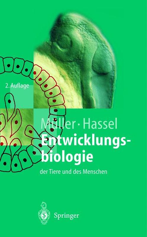 Entwicklungsbiologie der Tiere und des Menschen