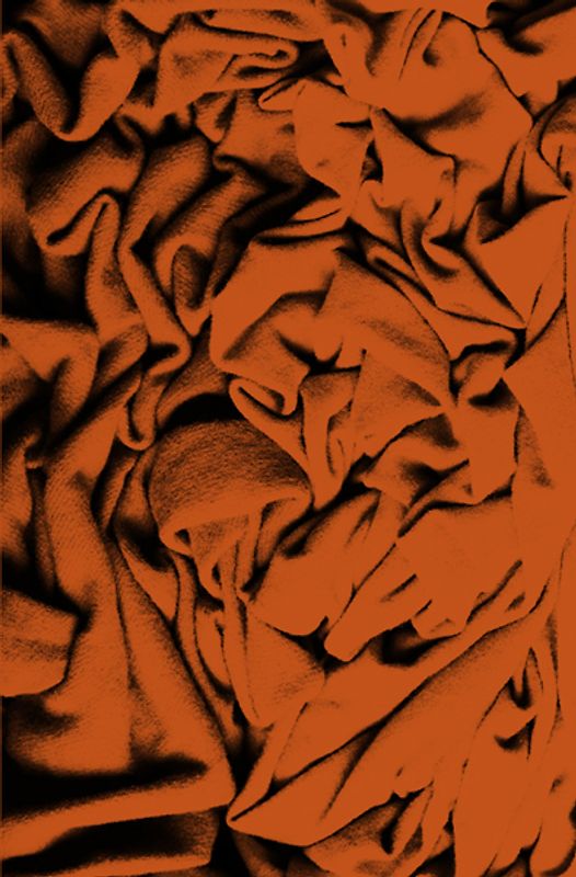 Lena Inken Schaefer - Die Tage sind lang, die Nächte kalt