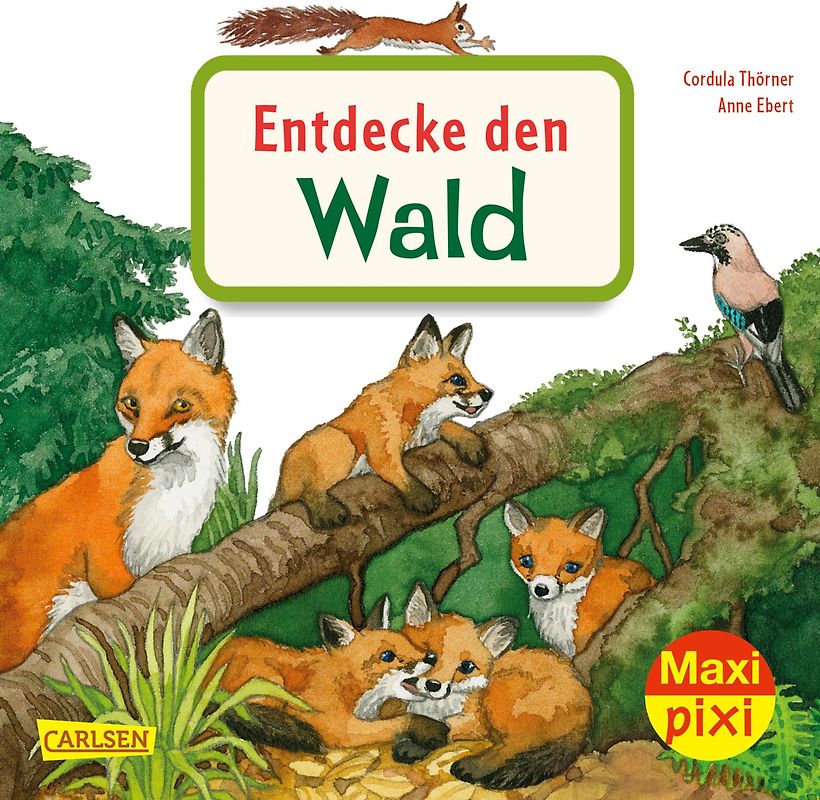 Maxi Pixi 399: Entdecke den Wald