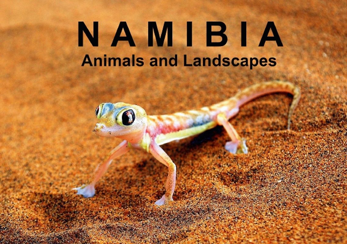 Namibia - Animals and Landscapes (Stand-Up Mini Poster DIN A5 Landscape)