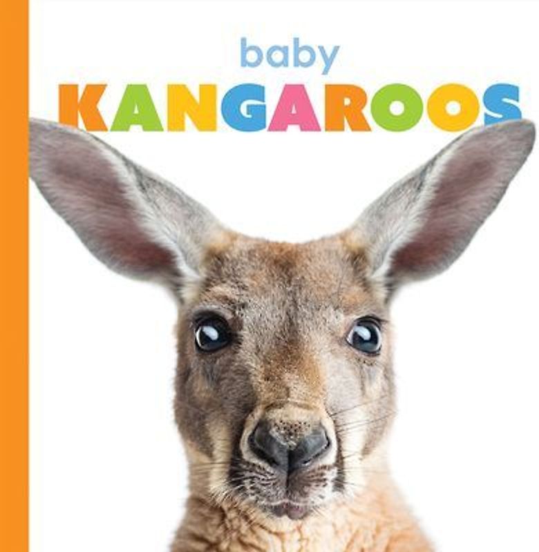 Baby Kangaroos