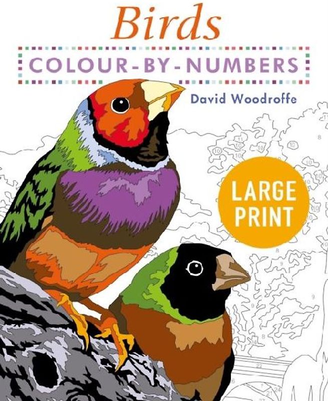 Large Print Colour by Numbers Birds: Easy-to-Read