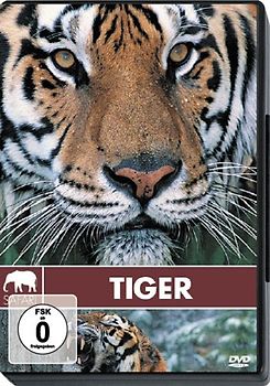 Safari: Tiger DVD