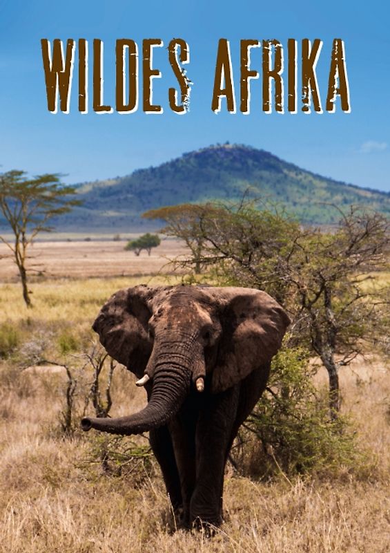 Wildes Afrika (Posterbuch DIN A4 hoch)