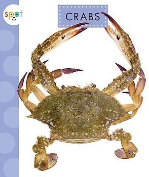 Crabs