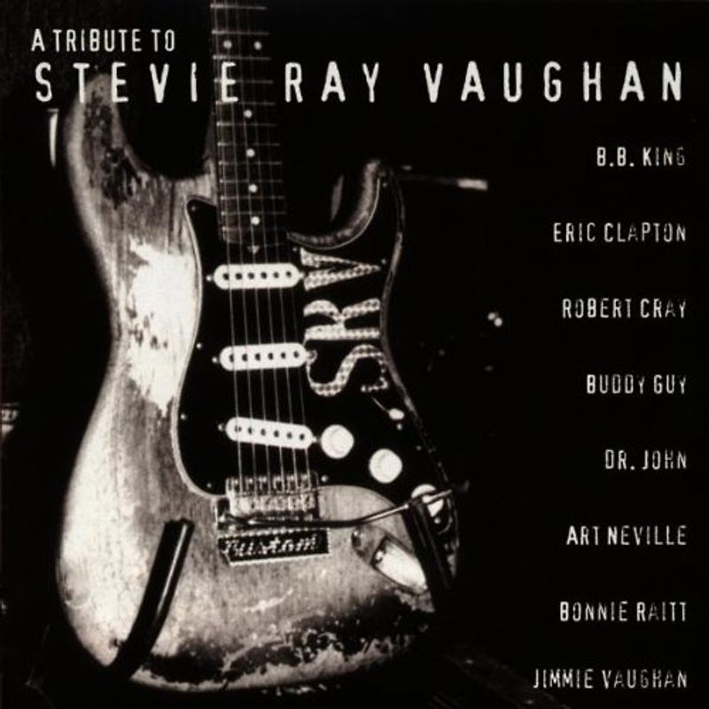 Various - A Tribute to Stevie Ray Vaugha