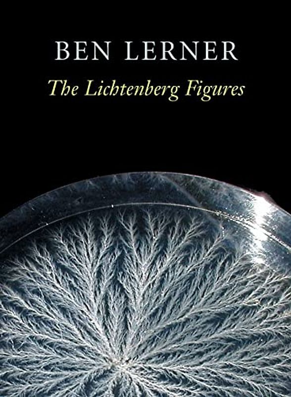 The Lichtenberg Figures