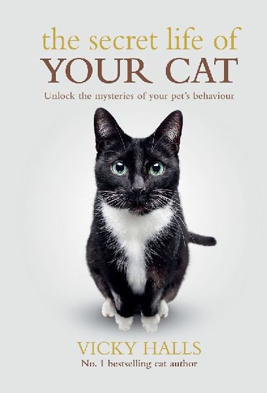 The Secret Life of Your Cat
