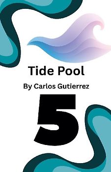 Tide Pool 5