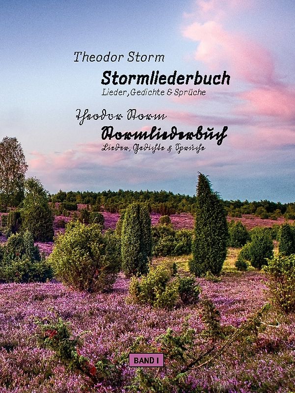 Stormliederbuch - Sütterlin