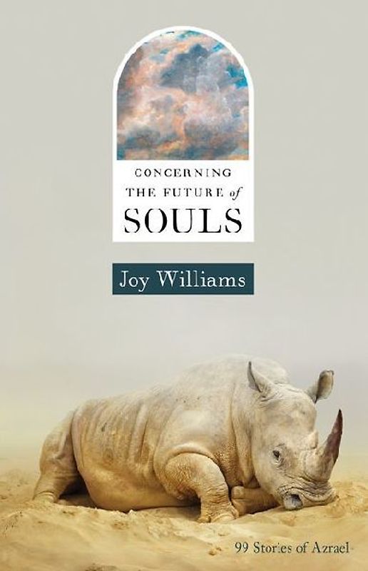 Concerning the Future of Souls