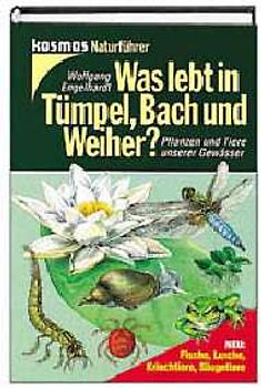 Was lebt in Tümpel, Bach und Weiher?