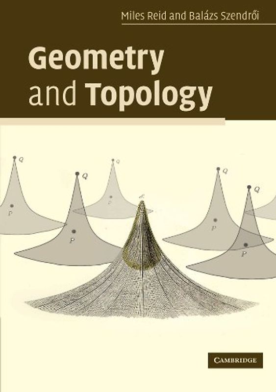 Geometry and Topology - Reid, Miles