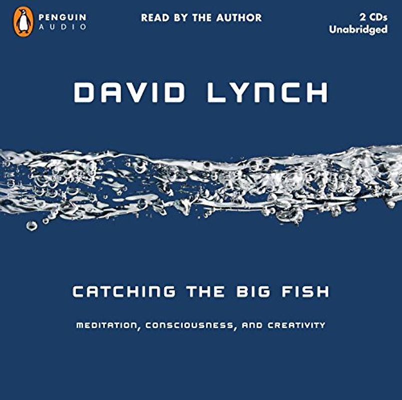 Catching the Big Fish: Meditation, Consciousness, and Creativity