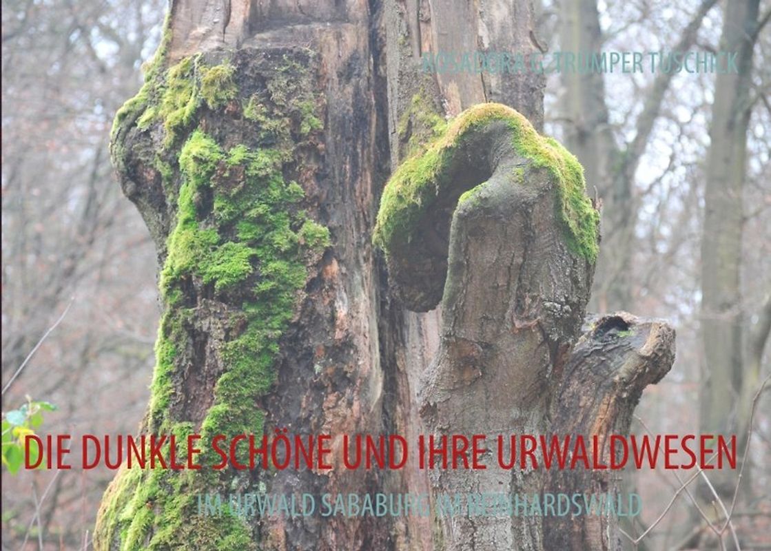 DIE DUNKLE SCHÖNE UND IHRE URWALDWESEN