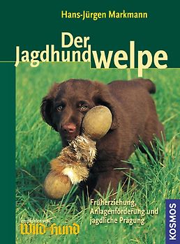 Der Jagdhundwelpe