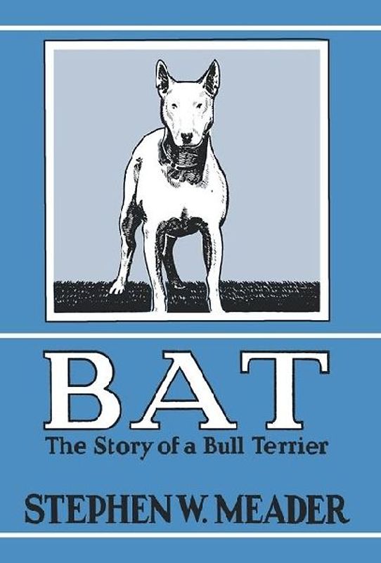 BAT, The Story of a Bull Terrier