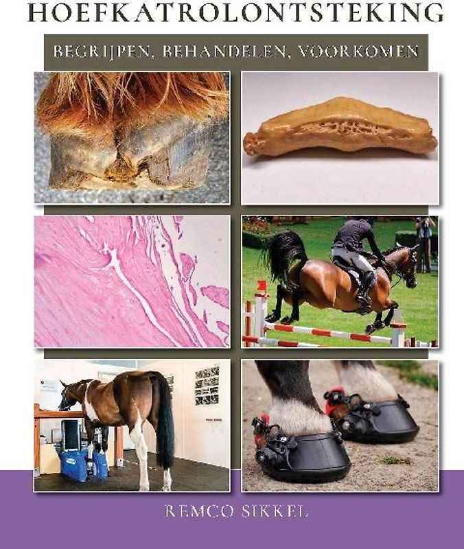 Hoefkatrolontsteking