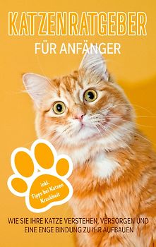 Katzenratgeber für Anfänger