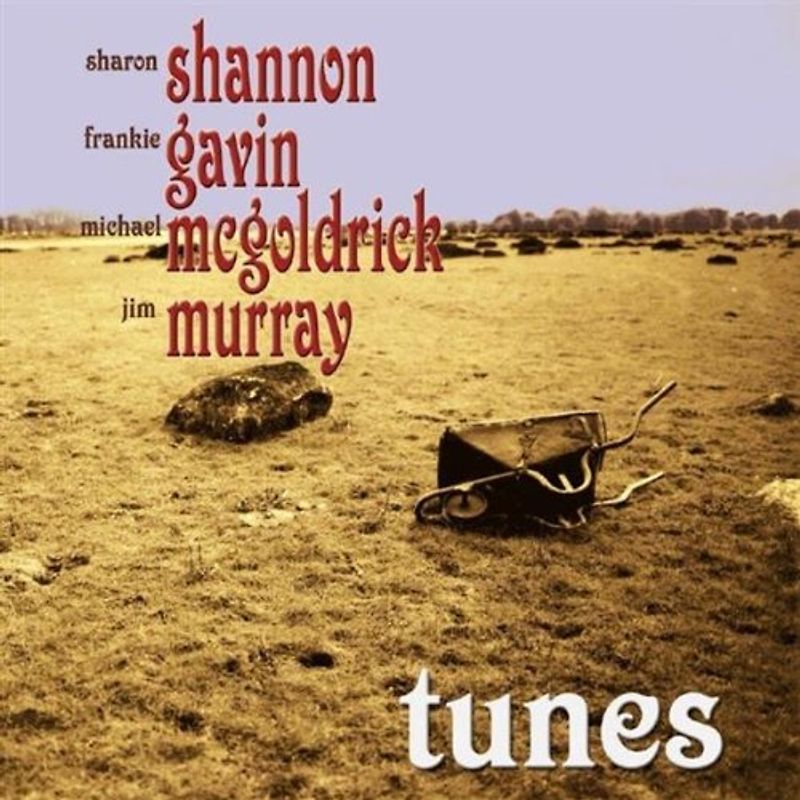 Shannon,Sharon W.Frankie Gavin,Mike Mcgoldrick, - Tunes