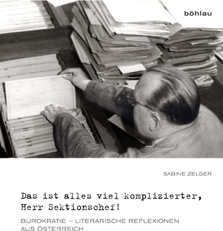 Das ist alles viel komplizierter, Herr Sektionschef!