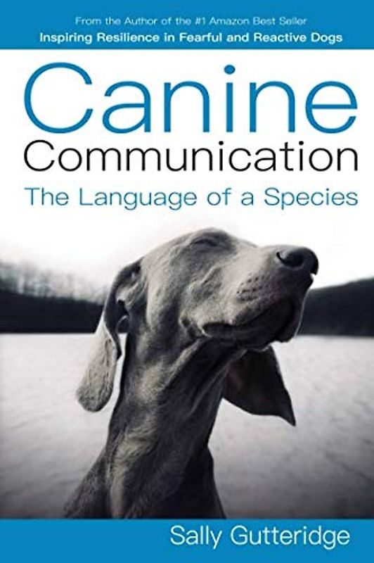 Canine Communication: The Language of a Species