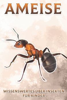 Ameise: Wissenswertes über Insekten für Kinder #13