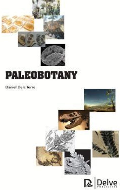 Paleobotany