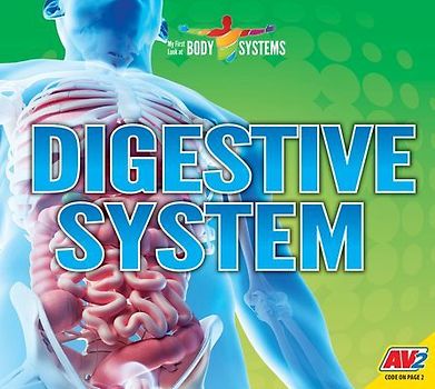 Digestive System