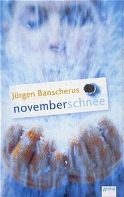 Novemberschnee