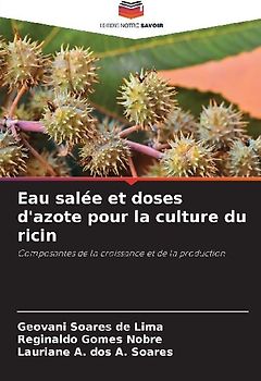 Eau salée et doses d'azote pour la culture du ricin