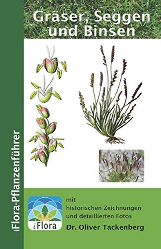 Gräser, Seggen und Binsen (iFlora Pflanzenführer, Band 4)